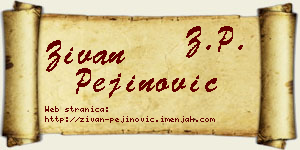 Živan Pejinović vizit kartica